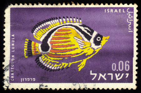 ISRAEL - CIRCA 1962  A stamp printed in Israel, shows exotic fishes found in Red sea, raccoon...