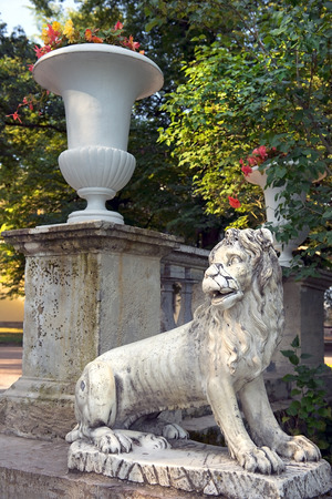 Lions on the Large stone staircase Pavlovsk park , Saint Petersburg, Russiaのeditorial素材