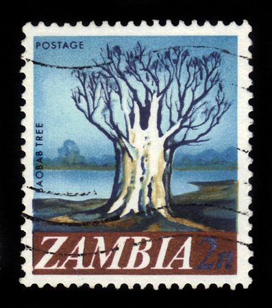 Zambia - CIRCA 1968: A stamp printed in Zambia shows Baobab tree, circa 1968のeditorial素材