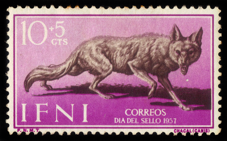 Ifni ( Spanish province ) - CIRCA 1957: A stamp printed in Spain, shows jackal, circa 1957のeditorial素材