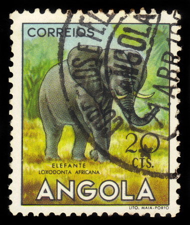 ANGOLA - CIRCA 1953: A stamp printed in Angola shows a african savanna elephant, \\\\\\\\\\\\\\\\\\\\\\\\\\\\\\\\\\\\\\\\\\\\\\\\\\\\\\\\\\\\\\\"angolan fauna\\\\\\\\\\\\\\\\\\\\\\\\\\\\\\\\\\\\\\\\\\\\\\\\\\\\\\\\\\\\\\\" issue, circa 1953のeditorial素材