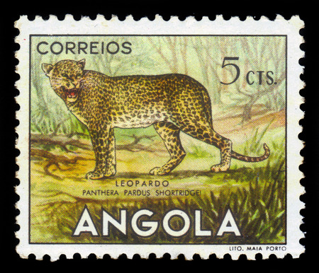 ANGOLA - CIRCA 1953: A stamp printed in Angola shows a leopard, \\\\\\\\\\\\\\\\\\\\\\\\\\\\\\\\\\\\\\\\\\\\\\\\\\\\\\\\\\\\\\\"angolan fauna\\\\\\\\\\\\\\\\\\\\\\\\\\\\\\\\\\\\\\\\\\\\\\\\\\\\\\\\\\\\\\\" issue, circa 1953のeditorial素材