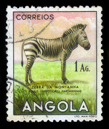 ANGOLA - CIRCA 1953: A stamp printed in Angola shows a mountain zebra (equus zebra), \\\\\\\\\\\\\\\\\\\\\\\\\\\\\\\\\\\\\\\\\\\\\\\\\\\\\\\\\\\\\\\"angolan fauna\\\\\\\\\\\\\\\\\\\\\\\\\\\\\\\\\\\\\\\\\\\\\\\\\\\\\\\\\\\\\\\" issue, circa 1953のeditorial素材