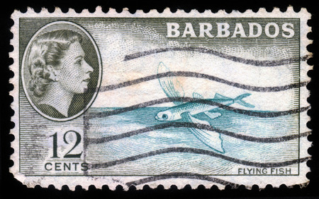 BARBADOS - CIRCA 1954: A stamp printed in Barbados shows flying fish and portrait of Queen Elizabeth II, circa 1954のeditorial素材