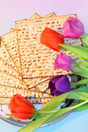 jewish holiday of Passover and its attributes, with matzo and spring tulips - Happy Passoverの写真素材