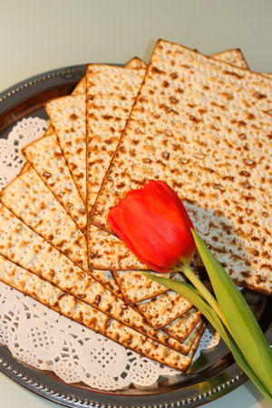 jewish holiday of Passover and its attributes, with matzo and spring tulips - Happy Passover