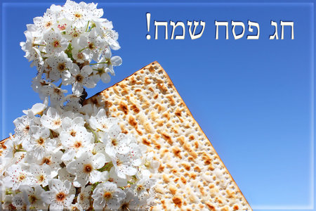 jewish holiday of Passover, branch of a blossoming tree and matzo on the background of bright blue...