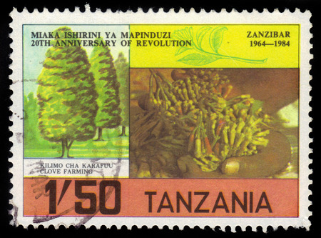 Tanzania - CIRCA 1984: A stamp printed in Tanzania, shows clove farming, 20th anniversary of the revolution on Zanzibar, circa 1984のeditorial素材