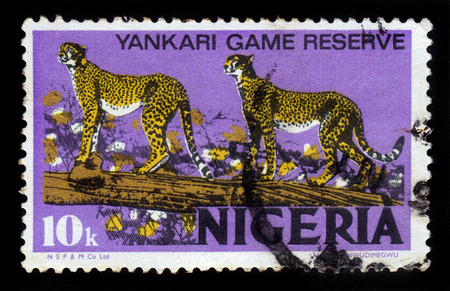NIGERIA - CIRCA 1973: A stamp printed in Nigeria, shows pair of cheetah, circa 1973のeditorial素材