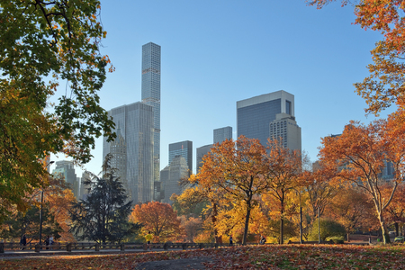 autumn landscape in Central Park, New York, most visited urban park in the United Statesのeditorial素材