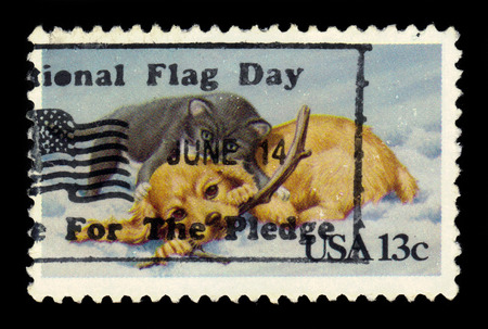 UNITED STATES OF AMERICA - CIRCA 1982: a stamp printed in the USA shows Puppy and Kitty, Christmas stamp, circa 1982のeditorial素材