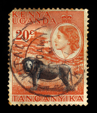 KENYA, UGANDA AND TANGANYIKA - CIRCA 1954: a stamp printed in East Africa showing image of a lion against the portrait of Queen Elizabeth II, circa 1954のeditorial素材