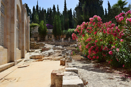 ancient excavations, Church of all Nations, Mount of Olives, Garden of Gethsemane in Jerusalemの写真素材