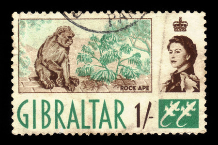 GIBRALTAR - CIRCA 1960: A stamp printed in Gibraltar shows Barbary Macaque (Macaca sylvanus), circa 1960のeditorial素材