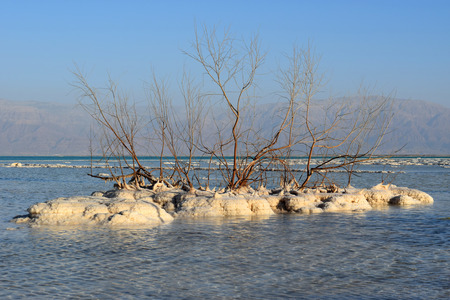 salt deposits, typical landscape of the Dead Sea, Israelの写真素材