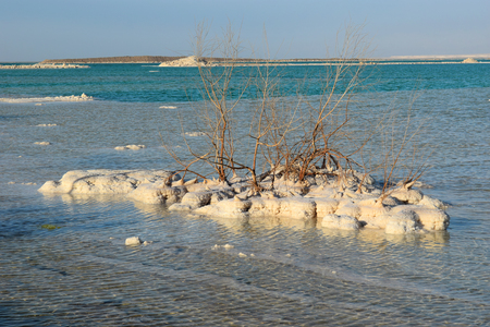 salt deposits, typical landscape of the Dead Sea, Israelの写真素材