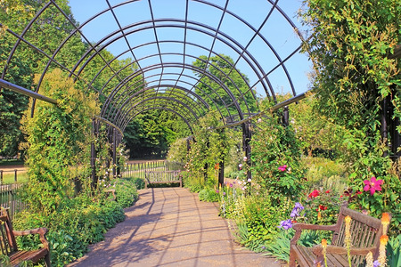 metal pergola at the Rose Garden, situated in the south-east corner of Hyde Park, Londonのeditorial素材