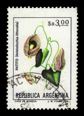 ARGENTINA - CIRCA 1983: a stamp printed in the Argentina shows patito ( aristolochia littoralis ), known as calico flower or elegant dutchman's pipe, series, circa 1983のeditorial素材