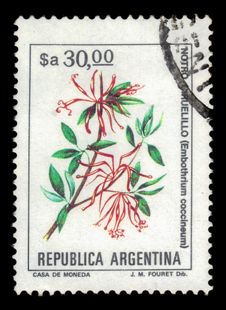 ARGENTINA - CIRCA 1984: a stamp printed in the Argentina shows embothrium coccineum, known as the chilean firetree, chilean firebush, is a small evergreen tree in the flowering plant family Proteaceae, series, circa 1984のeditorial素材