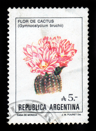 ARGENTINA - CIRCA 1987: a stamp printed in the Argentina shows gymnocalycium bruchii, cactus from the genus Gymnocalicium, name is given in honor of the argentine photographer and entomologist Carlos Bruch, series, circa 1987のeditorial素材