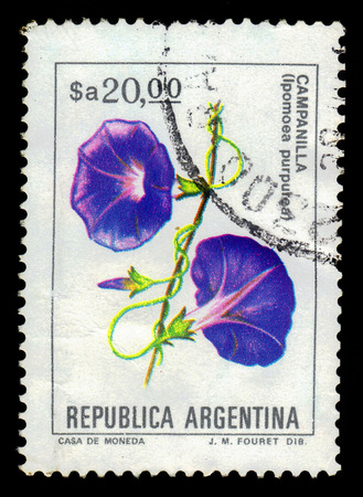 ARGENTINA - CIRCA 1985: a stamp printed in the Argentina shows ipomoea purpurea, known as the morning-glory or purple morning glory, series, circa 1985のeditorial素材