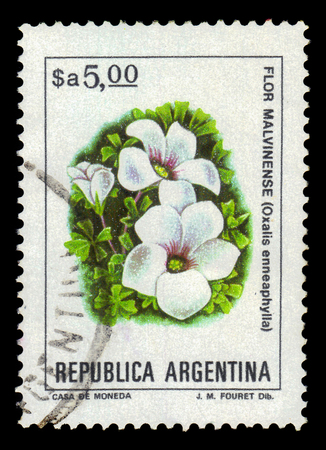 ARGENTINA - CIRCA 1982: a stamp printed in the Argentina shows oxalis enneaphylla, scurvy-grass sorrel, is alpine perennial herbaceous plant native to the grasslands of Patagonia and the Falkland Islands, series, circa 1982のeditorial素材
