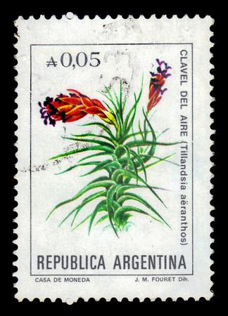 ARGENTINA - CIRCA 1985: a stamp printed in the Argentina shows tillandsia aeranthos, flowering plant is a species in the genus Tillandsia, series, circa 1985のeditorial素材