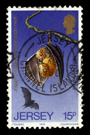JERSEY - CIRCA 1979: A stamp printed in Great Britain shows rodrigues flying fox or rodrigues fruit bat, (Pteropus rodricensis), circa 1979のeditorial素材