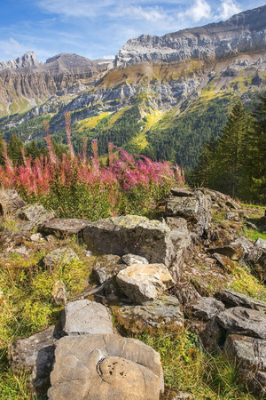 magnificent mountain landscape in the Swiss Alpsの写真素材
