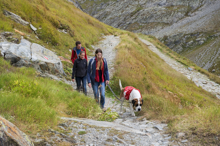 GREAT ST. BERNARD PASS, ITALY, SWITZERLAND - september 04: hike with the saint bernard dog, bred for centuries in hospice of Great St. Bernard Pass on september 04, 2017, border between Italy and Switzerlandのeditorial素材