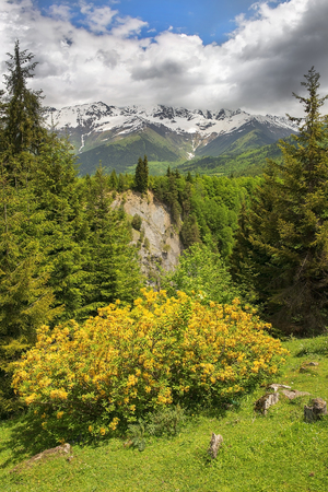 magnificent mountain landscape in the Caucasus Mountains, Upper Svaneti, Georgiaの写真素材
