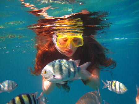 young girl swimming under water among tropical fish, Red Sea, Eilat, Israelの写真素材
