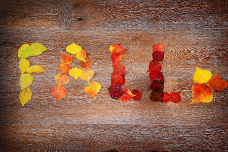 inscription - fall, written with colorful autumn leaves  on the background of a parquet boardsの写真素材