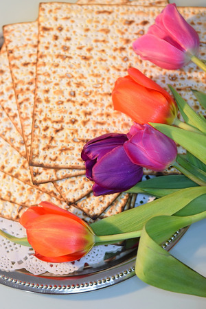 joyful spring festival - jewish holiday of Passover and its attributes, with matzo and spring tulips - Happy Passoverの写真素材