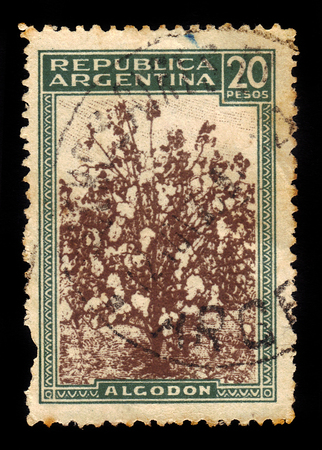 ARGENTINA - CIRCA 1936: a stamp printed in the Argentina shows shrub of cotton, series country products, circa 1936のeditorial素材