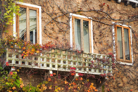 picturesque venetian windows with balconies, Venice, Italyの写真素材