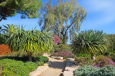 picturesque corner in the Park Ramat Hanadiv, Memorial Gardens where buried Baron Edmond de Rothschild and his wife Adelaide, Israelの写真素材