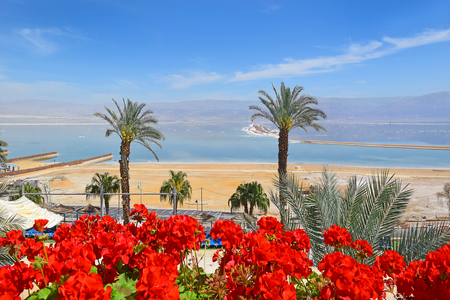 picturesque landscape at the Dead Sea, Ein Bokek, a resort on the Israeli shoreの写真素材