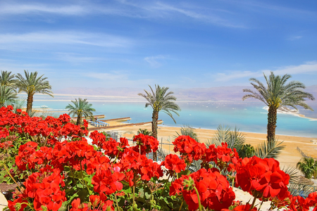picturesque landscape at the Dead Sea, Ein Bokek, a resort on the Israeli shoreの写真素材