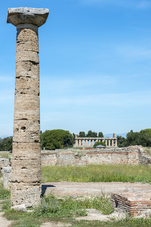 ancient greek archeological sites  in Poseidonia (Paestum), Campania, southern Italyの写真素材