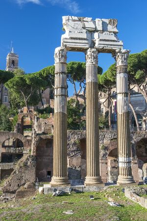historical open-air museum Roman Forum in Romeの写真素材