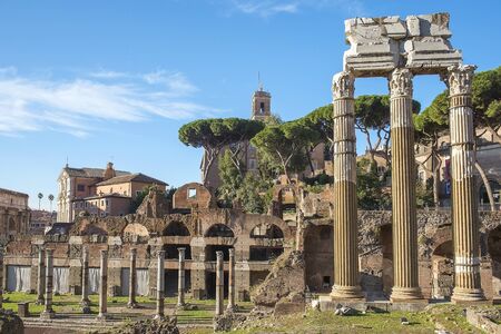historical open-air museum Roman Forum in Romeの写真素材
