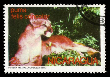 Nicaragua - CIRCA 1974: A stamp printed in USA shows  cougar (Puma concolor), series wild animals, circa 1974のeditorial素材