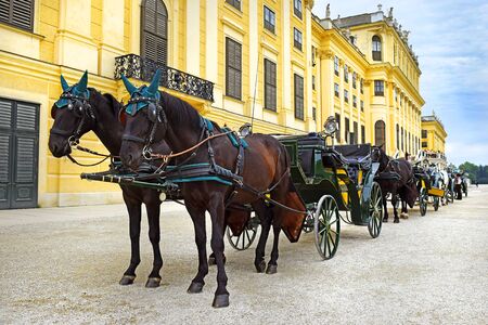 Vienna, Austria - 27 may 2019 : horses and carriages near Schonbrunn palace, main summer residence of the Habsburg rulers, located in Hietzing, Viennaのeditorial素材