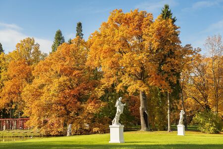 golden autumn in the Lomonosov (Oranienbaum) public park, Saint Petersburg, Russiaの写真素材