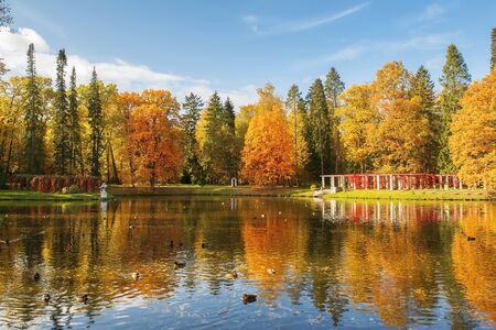 golden autumn in the Lomonosov (Oranienbaum) public park, Saint Petersburg, Russiaの写真素材