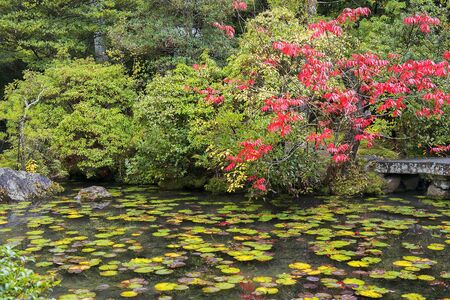 autumn landscape with picturesque pond and stone bridge in Kyoto park, Japanの写真素材