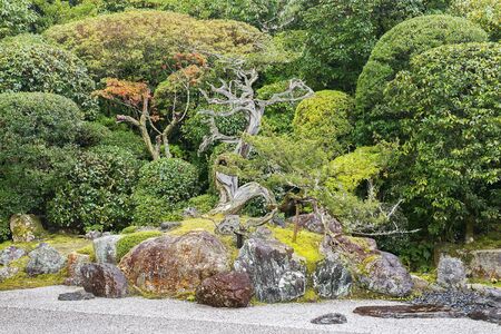 autumn landscape in the picturesque Kyoto park, Japanの写真素材