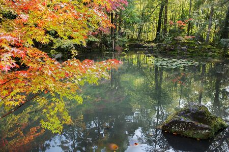 autumn landscape with picturesque pond in Kyoto park, Japanの写真素材