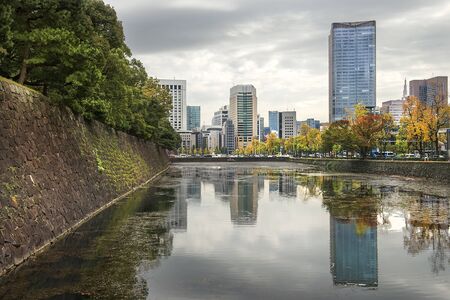 Tokyo, Japan - november 09, 2019: cityscape of Tokyo, view of the central business district of Tokyo from a city public parkのeditorial素材